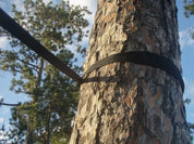 Eco-Friendly Tree Straps - 2 Pack