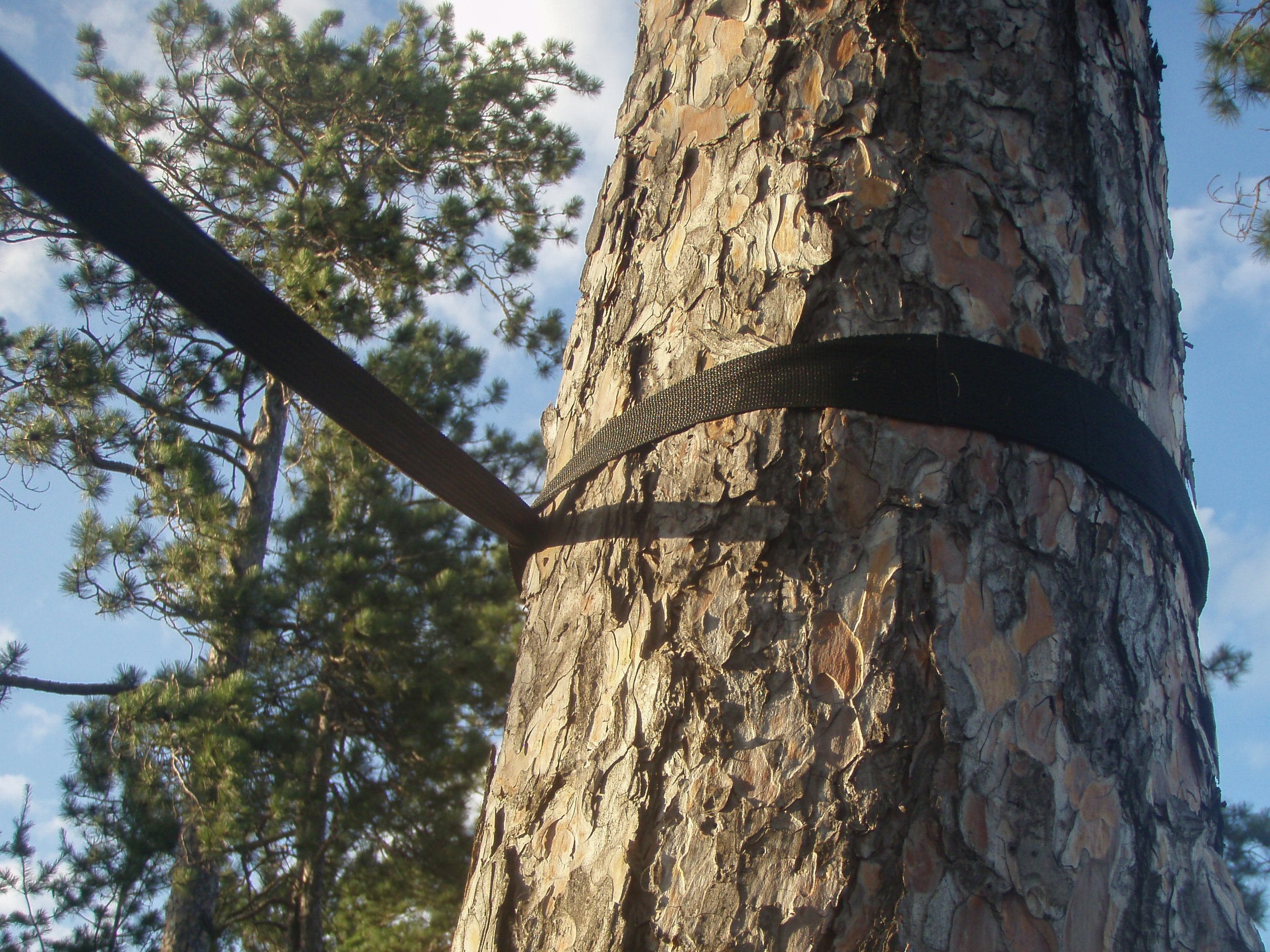 Eco-Friendly Tree Straps - 2 Pack