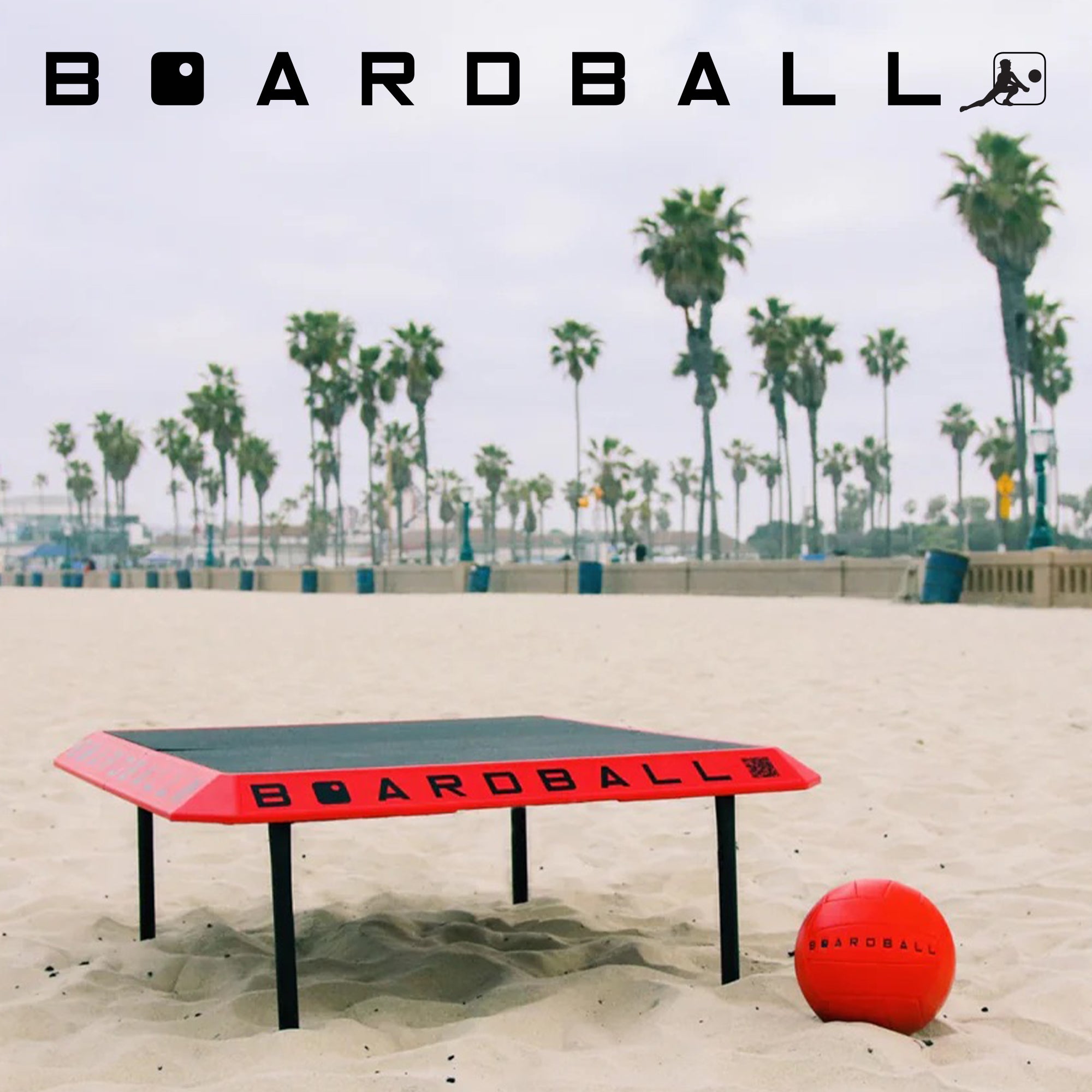 boardball_logo_sq1.jpg