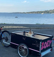 Wike High-Sided DIY Cargo Bike Trailer Kit