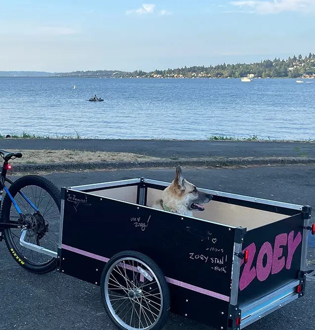 Wike High-Sided DIY Cargo Bike Trailer Kit